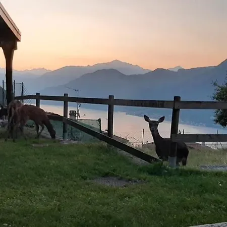 Tra E Monti Semesterbostad *