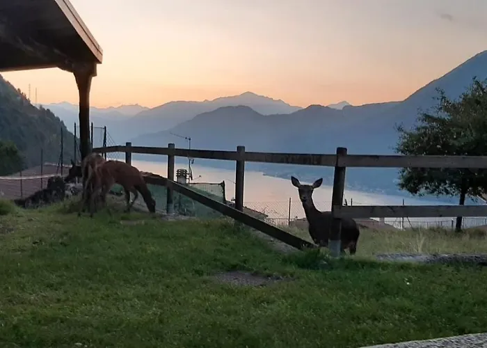 Tra E Monti Holiday home *