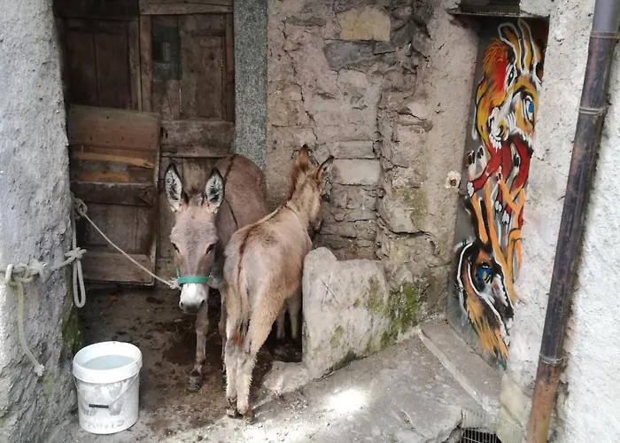 Tra E Monti *