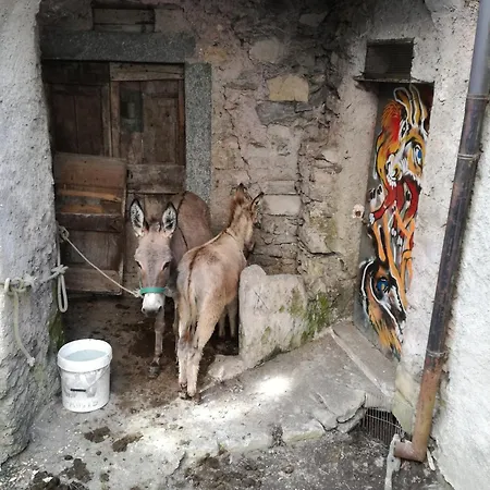 Tra E Monti *