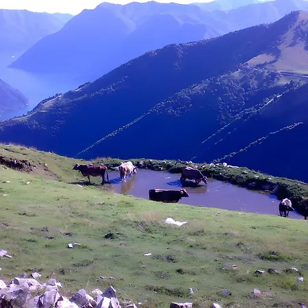 Tra E Monti *